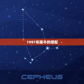 1997年属牛的婚配，97年属牛的属相婚配表