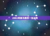 2002年属马男孩一生运势，02年属马申时出生的男生的长大运势？