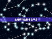 生肖鸡和生肖牛合不合，属牛和属鸡俩男孩的性格合不合？
