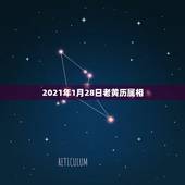 2021年1月28日老黄历属相，2021年28岁属什么生肖