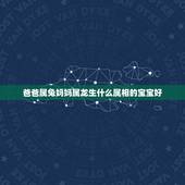 爸爸属兔妈妈属龙生什么属相的宝宝好，爸爸属兔妈妈属龙生个牛宝宝好吗