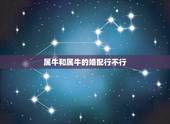 属牛和属牛的婚配行不行，属狗的和属牛的婚配好不好？