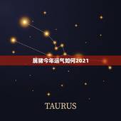 属猪今年运气如何2021，2021属猪人全年运势