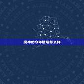 属牛的今年婚姻怎么样，今年明年属牛人的婚姻爱情