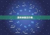 流年纳音五行表，流年纳音是什么意思