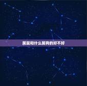 属鼠和什么属狗的好不好，求二月初二生辰八字好吗？属狗的