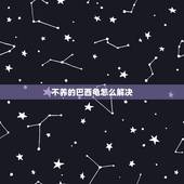 不养的巴西龟怎么解决，巴西龟是害虫类动物，如果不想养了，应该怎么处理！