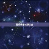 图片貔貅头像大全，黄金貔貅有哪些款式图片大全