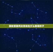 属蛇男属鸡女忌讳生什么属相孩子，男属鸡，女属蛇生什么属相的孩子好