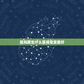 鼠和属生什么属相宝宝最好，属鼠的和什么属相不合