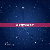 60年的虎今年多大了(已经是老虎的晚年岁月)