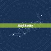 属虎命里缺什么，属虎的人命里缺什么