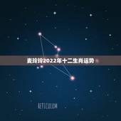 麦玲玲2022年十二生肖运势，2022属龙在虎年运气