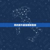 男的属牛最佳婚配属相，属牛男的和什么属相最配