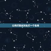 公鸡打架头对头打一个生肖，鸡飞狗跳打一生肖