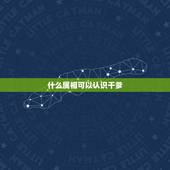 什么属相可以认识干爹，属马的生肖和哪个生肖犯冲