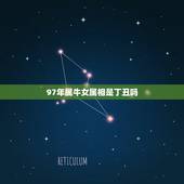 97年属牛女属相是丁丑吗，1997年的属牛命运