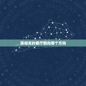 属相龙的客厅朝向哪个方向，请问缺木缺水的属龙的人，家里客厅适合挂什么画