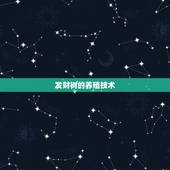 发财树的养殖技术，盆景发财树怎样养？