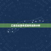 乙亥日主遇辛丑流年运势分析，乙亥日主2022 辛丑流年