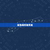 鼠兔相刑谁克谁，鼠兔相刑利害生，刑中有木生可旺，荷花自古出污泥