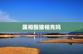 属相猴猪相克吗，猪猴不到头什么说法