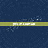 属蛇2001年运势及运程，2001年属蛇是什么命万年历