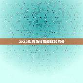 2022生肖兔桃花最旺的月份，2022年几月的兔子好