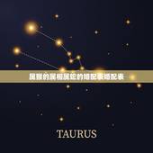 属猴的属相属蛇的婚配表婚配表，属猴的属相婚配表