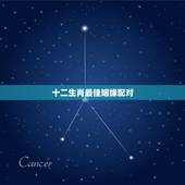 十二生肖最佳姻缘配对 最全十二属相婚配表