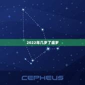 2022年几岁了虚岁，2022年注会报名时间