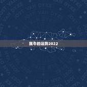 属牛的运势2022，属牛的人运势如何？