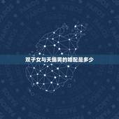 双子女与天蝎男的婚配是多少，天蝎男和双子女的感情搭配指数是多少？