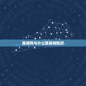 属相狗与什么属相相配好，属相属狗的婚配什么属相最好