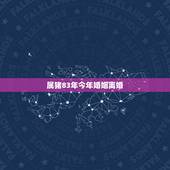 属猪83年今年婚姻离婚，83年属猪的婚姻状况如何
