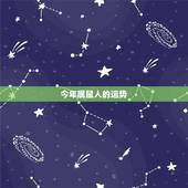 今年属鼠人的运势，肖鼠人2010年虎年运势的目录