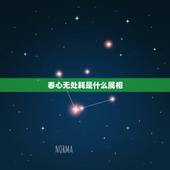 春心无处耗是什么属相，三九载酒西园罪，一四春心无处耗 猜一生肖