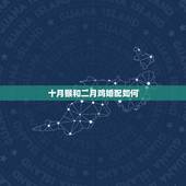 十月猴和二月鸡婚配如何，属猴的和属鸡的能婚配吗？ .
