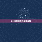 2022年属牛的是什么命，属牛的是什么命人