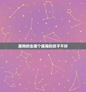 属狗的生哪个属相的孩子不好，属狗的生什么属相的孩子好