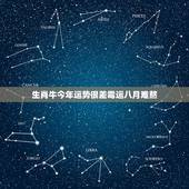 生肖牛今年运势很差霉运八月难熬，最近好倒霉啊，今年是不是属牛的倒霉年啊