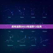 虎年运势2022年运势12生肖，牛年运势2022 年运势12生肖运势