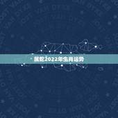 属蛇2022年生肖运势，2022年生肖羊运势详解