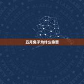 五月兔子为什么命苦，属兔出生哪个月份命最苦