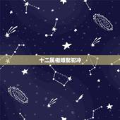 十二属相婚配犯冲，最全的十二生肖相配相克(12属相婚配表)(1)(1)