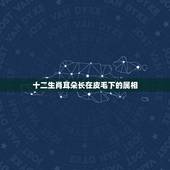 十二生肖耳朵长在皮毛下的属相，十二生肖哪个动物耳朵是皮毛下