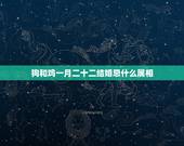 狗和鸡一月二十二结婚忌什么属相，属狗属鸡的今年结婚忌讳什么属相的人