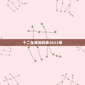 十二生肖排码表2022年，2022年事业运更好的生肖