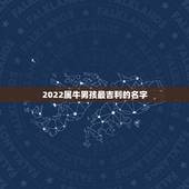 2022属牛男孩最吉利的名字，男孩名字2021年属牛