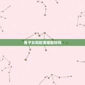 兔子女和蛇男婚配好吗，蛇男和女兔相配婚姻如何